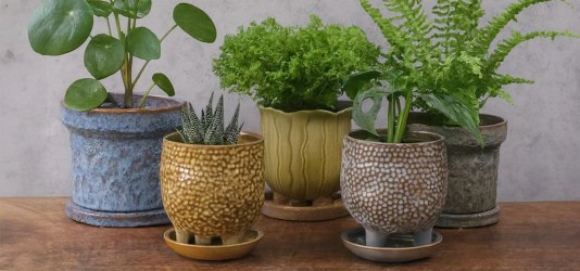 陶器プランター