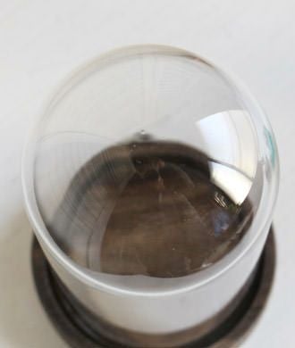 小さなガラスドーム１