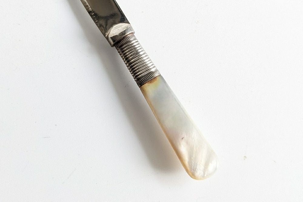 白蝶貝マザーオブパール