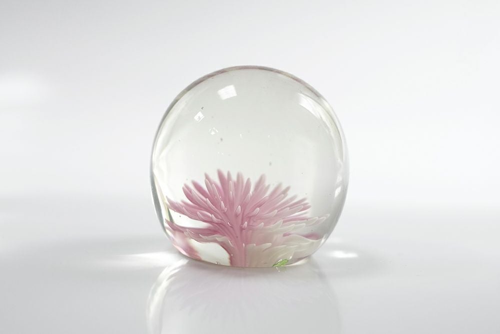 綺麗なヴィンテージペーパーウ綺麗な