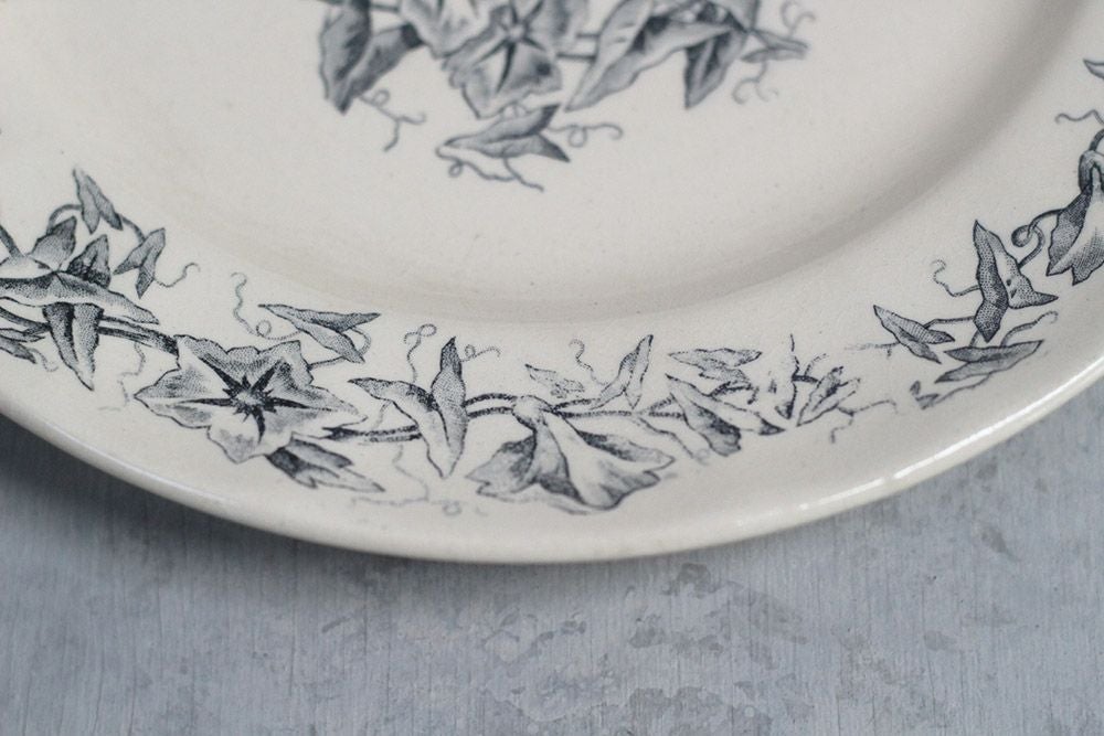 アンティーク皿 Longchamp(ロンシャン) ディナープレートフランス Liserons 昼顔 食器