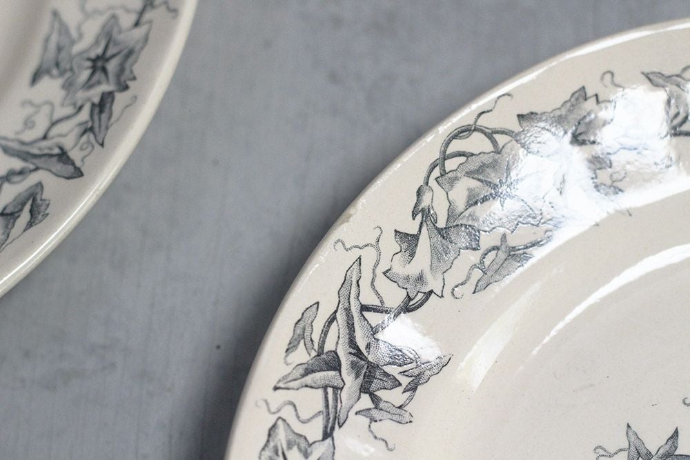 アンティーク皿 Longchamp(ロンシャン) ディナープレートフランス Liserons 昼顔 食器