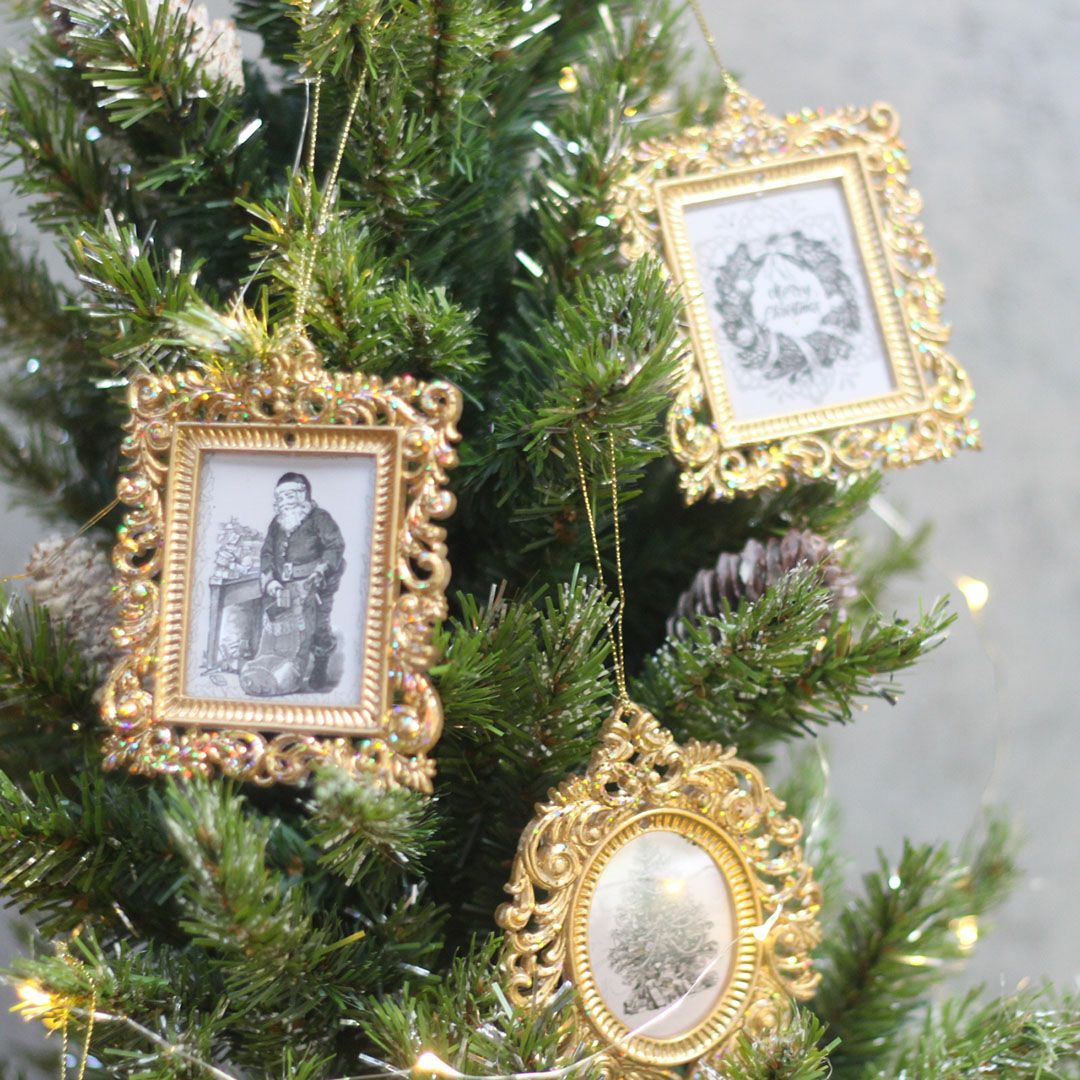 000000012776-40.jpg?size=org&t