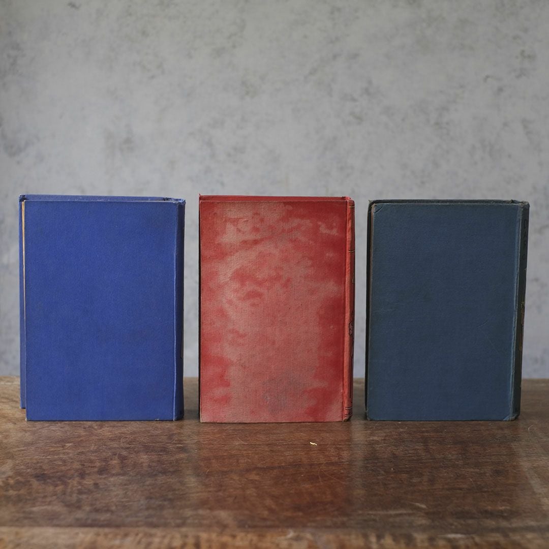 アンティーク本 イギリスの児童書 挿絵入りの古書5