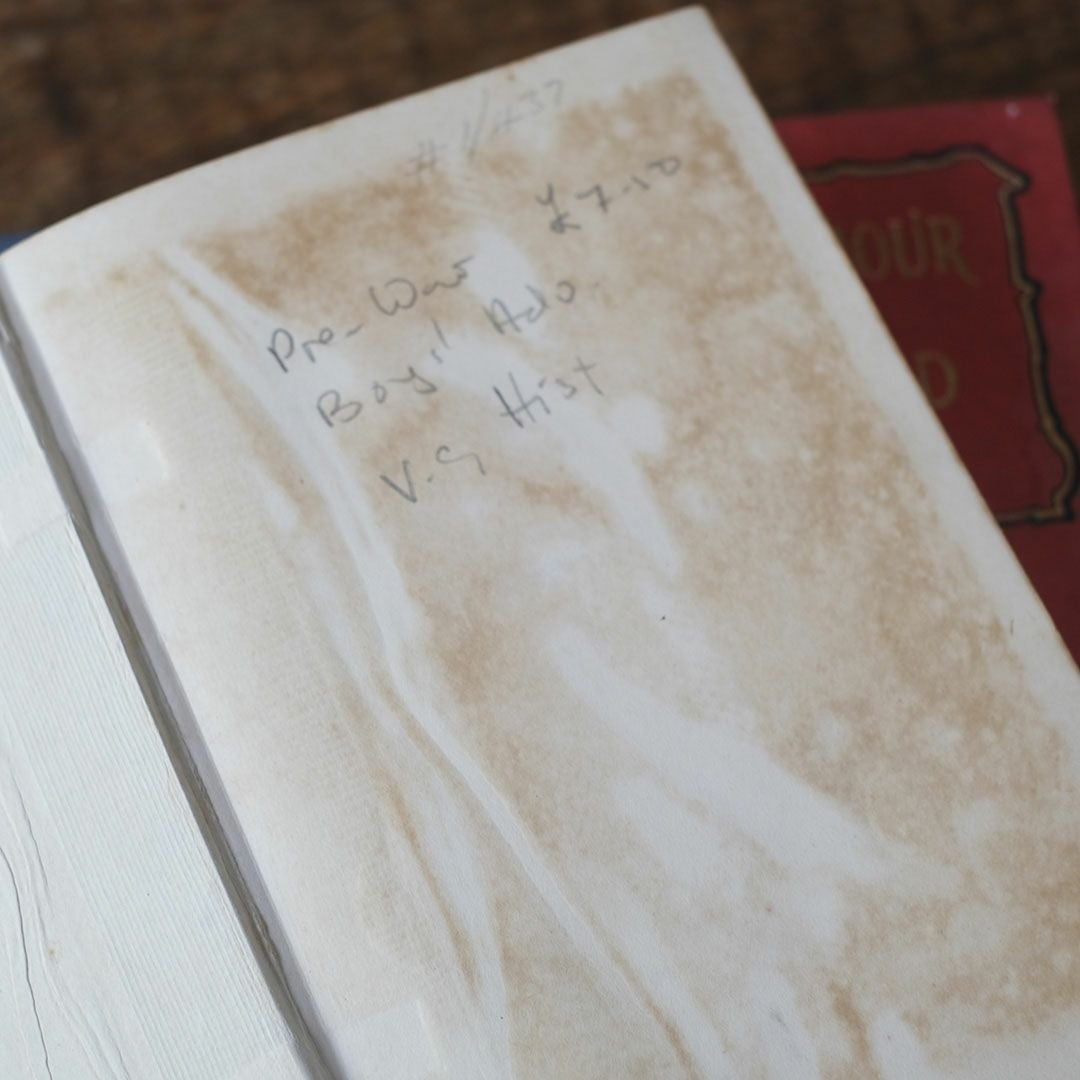 アンティーク本 イギリスの児童書 挿絵入りの古書9