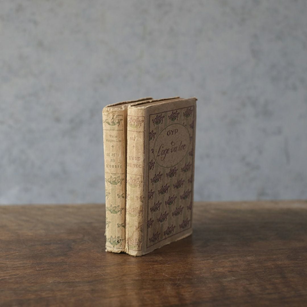 アンティークブック フランス 本 小説