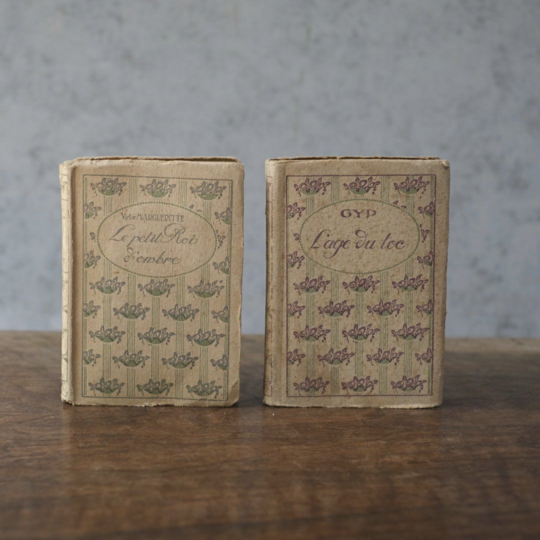 アンティークブック フランス 本 小説1