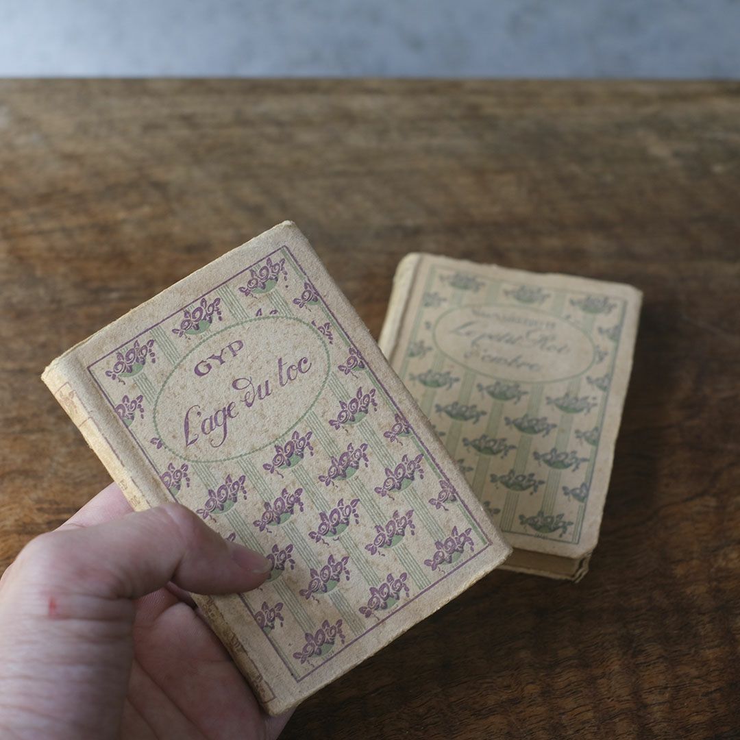 アンティークブック フランス 本 小説2