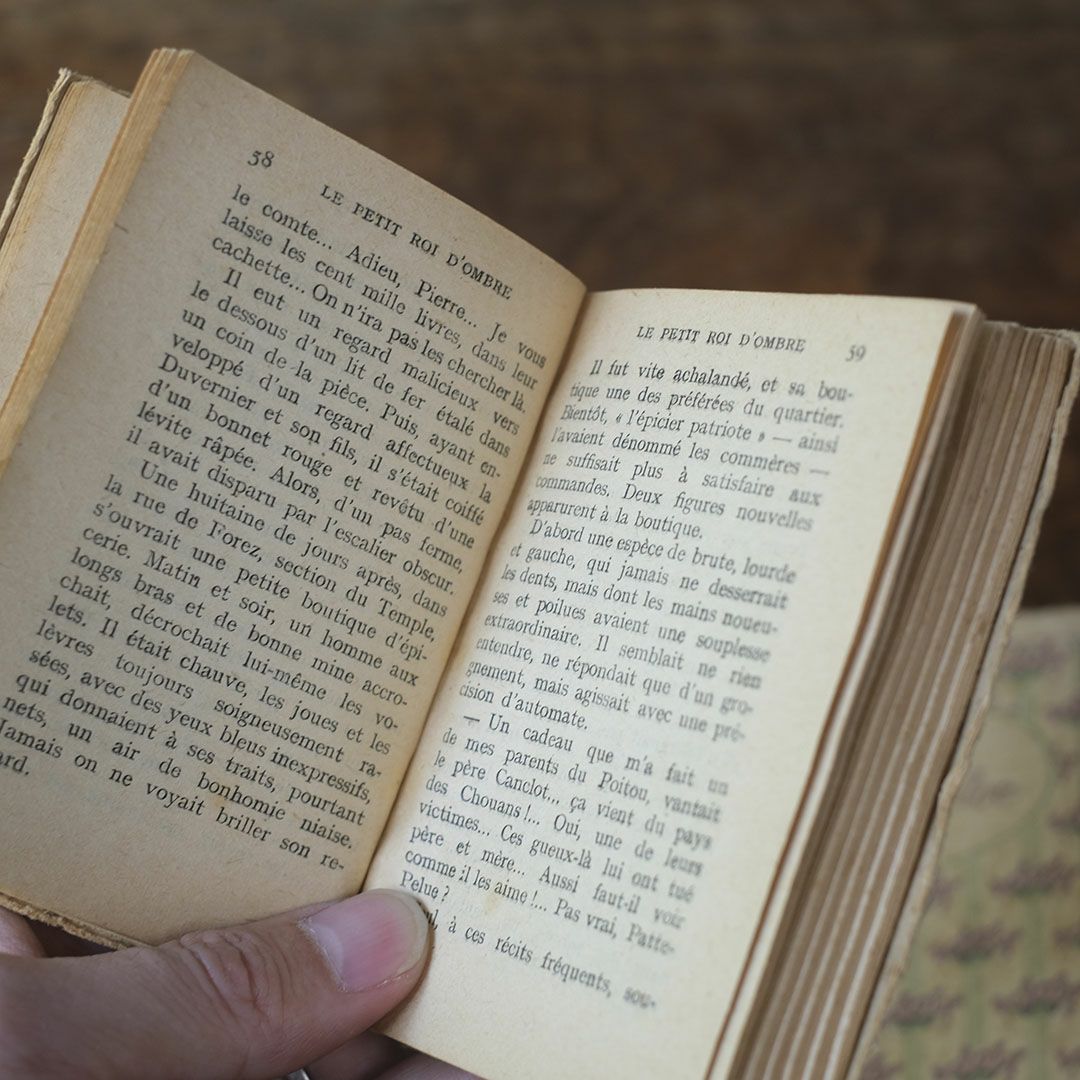 アンティークブック フランス 本 小説4