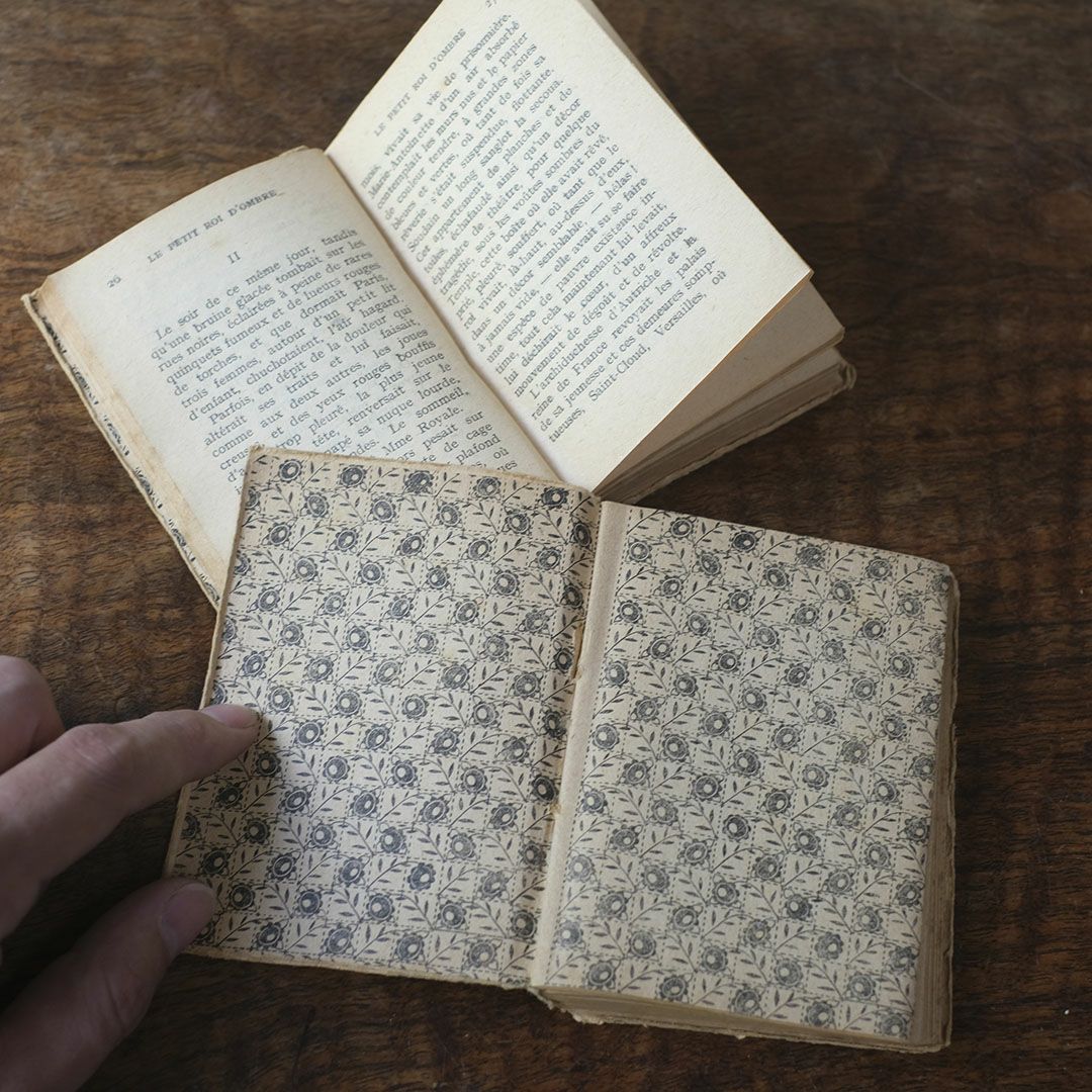 アンティークブック フランス 本 小説5