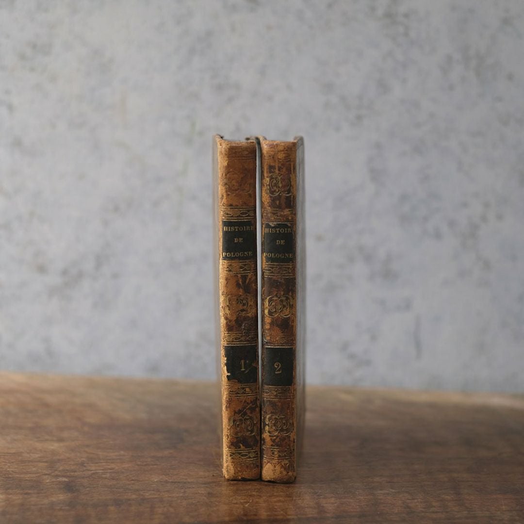 アンティークレザーブック 古書 フランス 革背表紙の本1