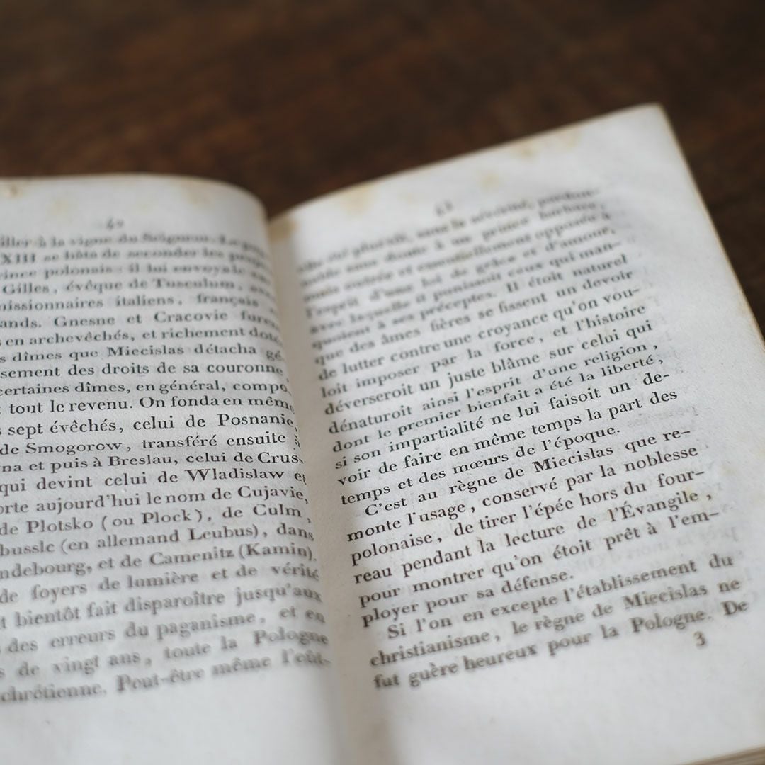 アンティークレザーブック 古書 フランス 革背表紙の本5