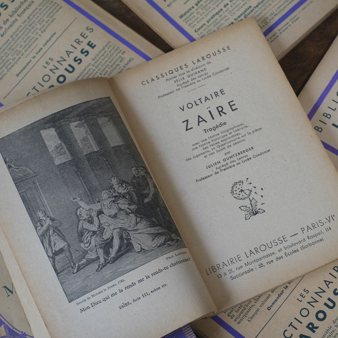 アンティークブック 挿絵付き フランス 本3