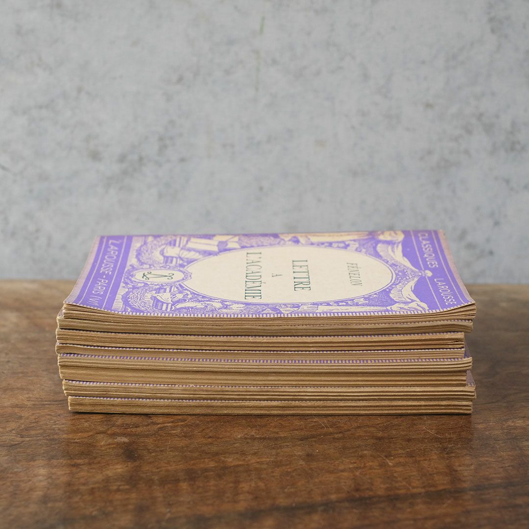 アンティークブック 挿絵付き フランス 本7