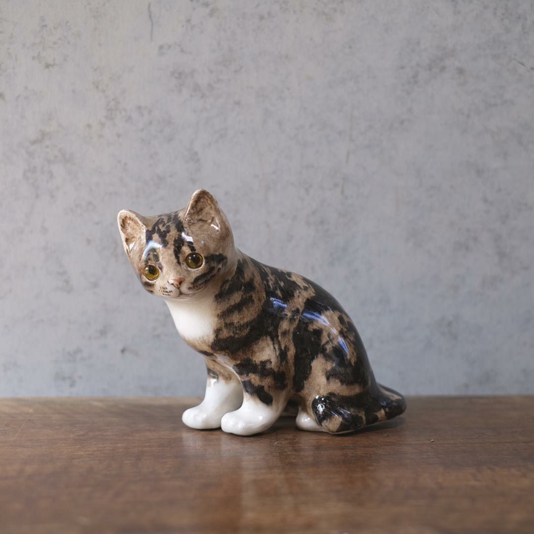 ウィンスタンレーキャット,ケンジントンキャットについて