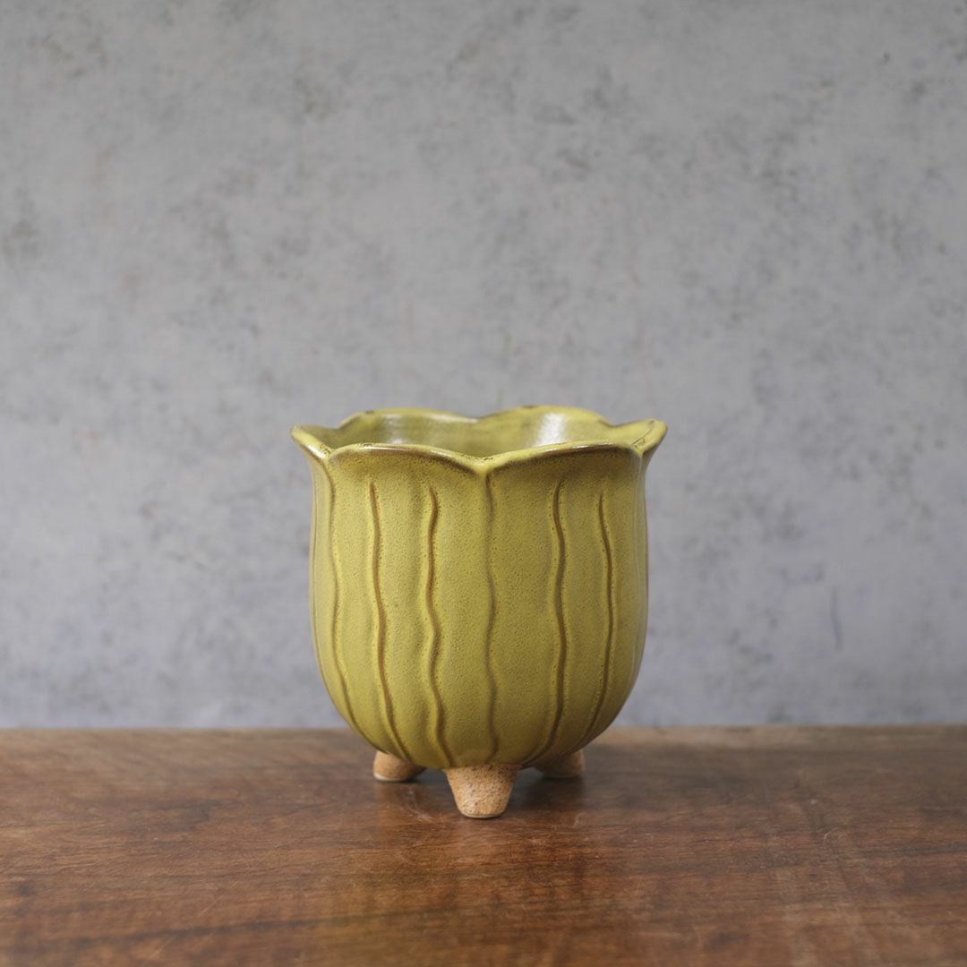 童話の鉢植えシリーズ 陶器のプランター&受け皿セット チューリップ 黄色2