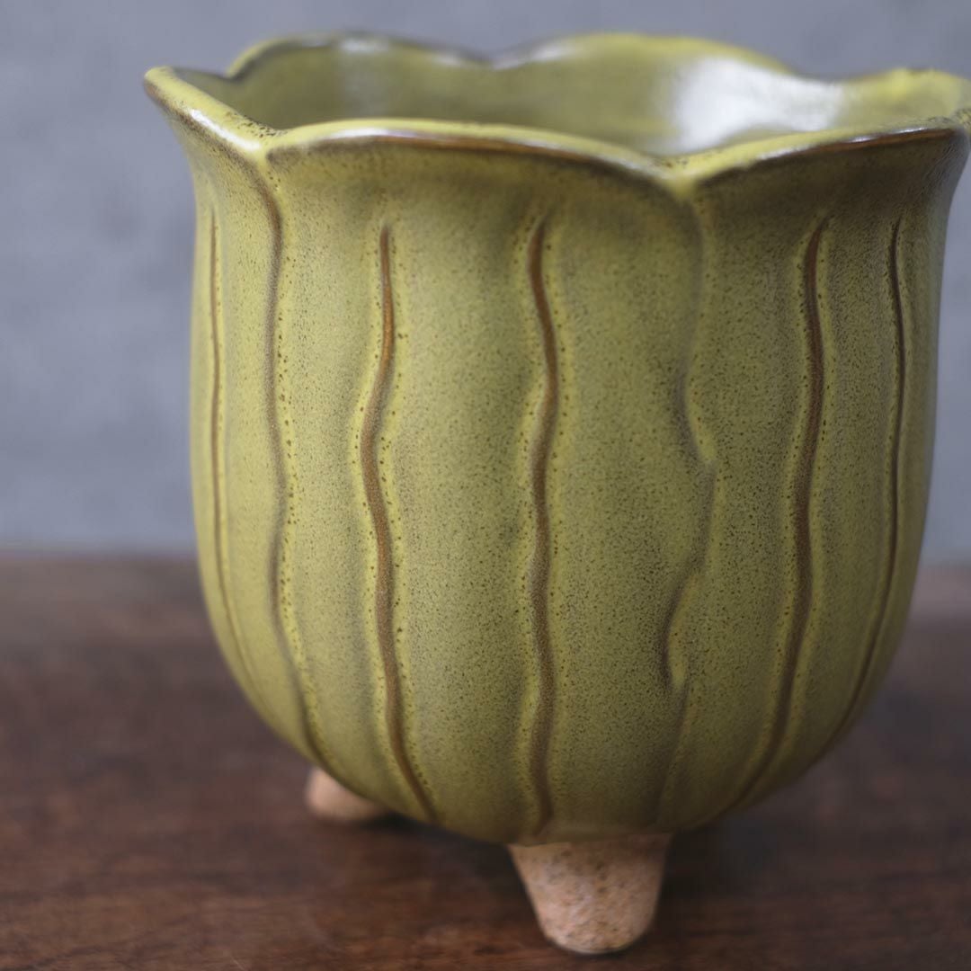 童話の鉢植えシリーズ 陶器のプランター&受け皿セット チューリップ 黄色4