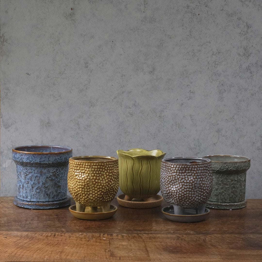 童話の鉢植えシリーズ 陶器のプランター&受け皿セット チューリップ 黄色7