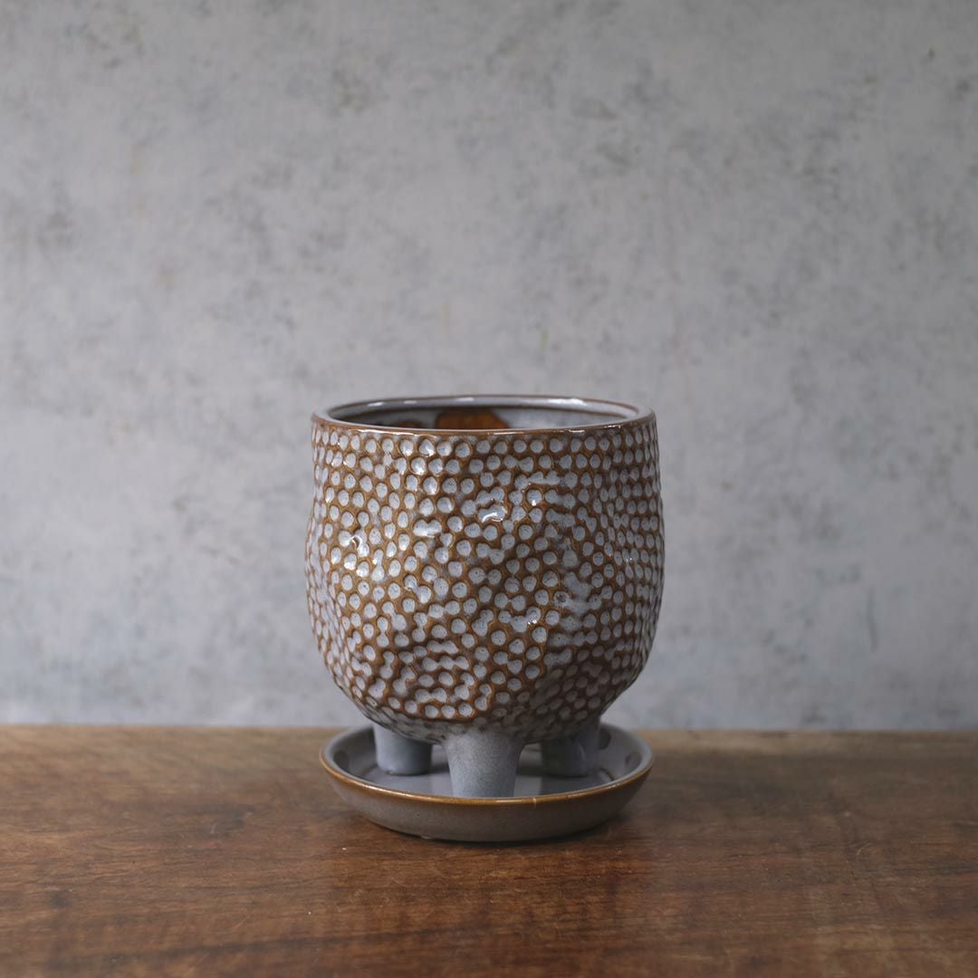 童話の鉢植えシリーズ 陶器のプランター&受け皿セット 3本足 グレー2