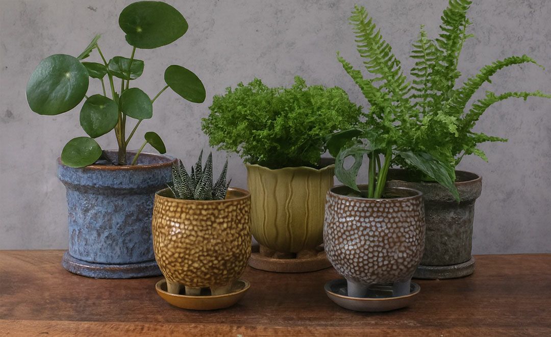 童話の鉢植えシリーズ 陶器のプランター&受け皿セット 3本足 グレー6