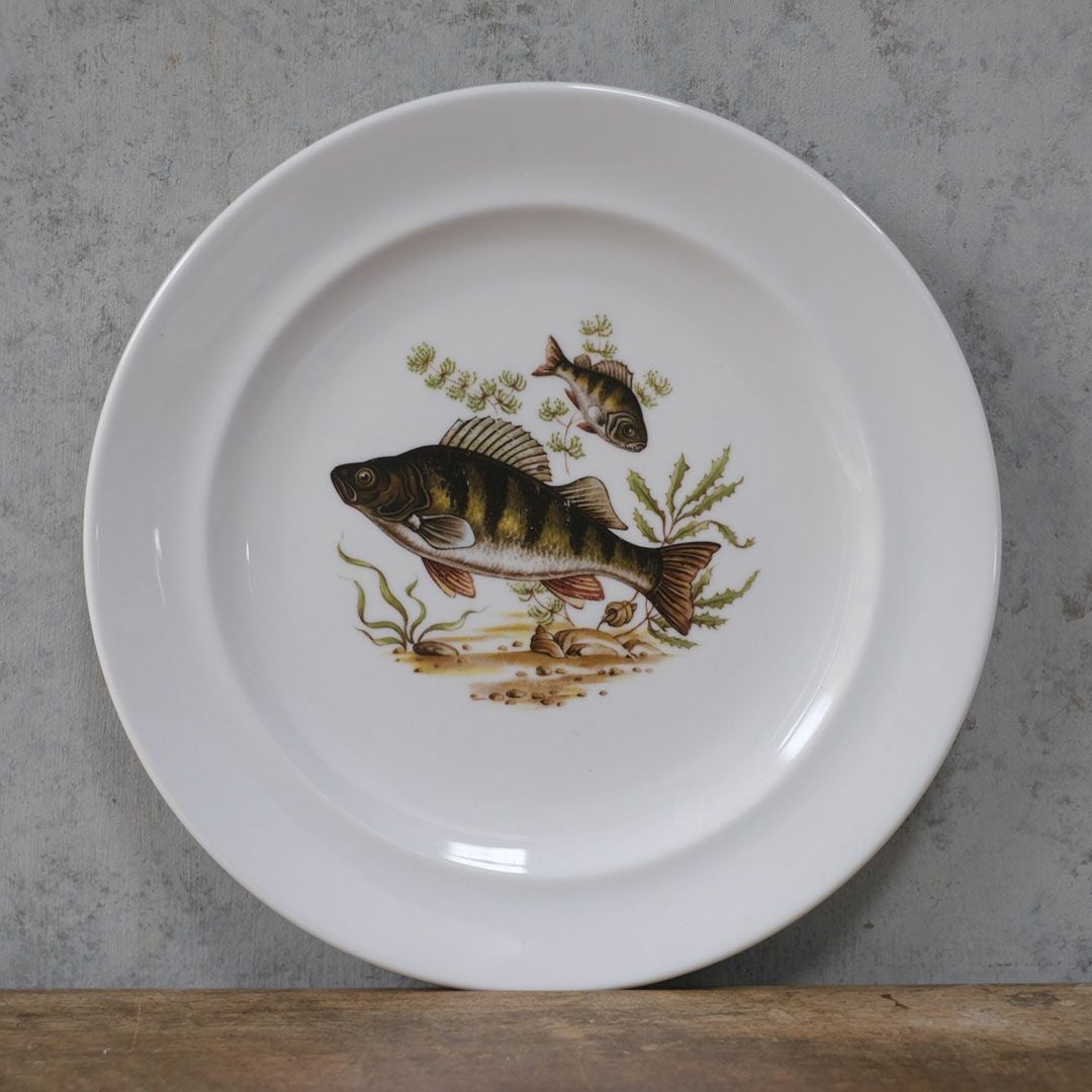 ヴィンテージ皿 Schumann Arzberg（シューマン・アルツベルク） ディナープレート 魚モチーフ ドイツ6