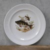 ヴィンテージ皿 Schumann Arzberg（シューマン・アルツベルク） ディナープレート 魚モチーフ ドイツ6