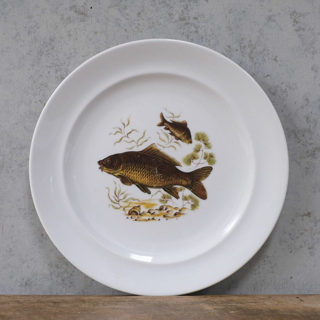ヴィンテージ皿 Schumann Arzberg（シューマン・アルツベルク） ディナープレート 魚モチーフ ドイツ8