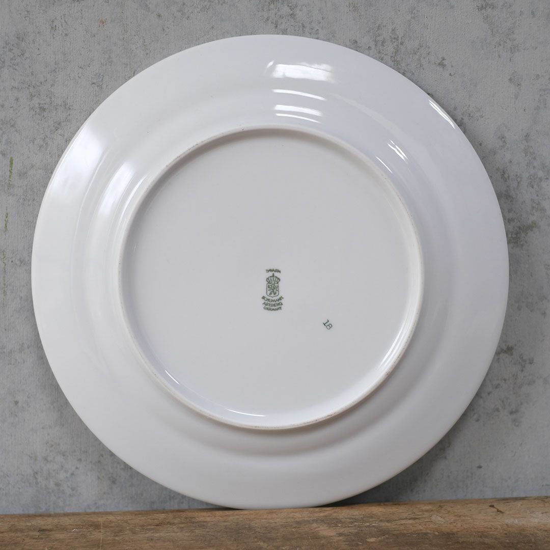 ヴィンテージ皿 Schumann Arzberg（シューマン・アルツベルク） ディナープレート 魚モチーフ ドイツ12