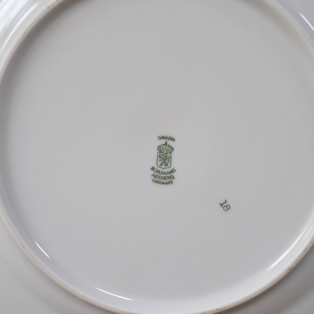 ヴィンテージ皿 Schumann Arzberg（シューマン・アルツベルク） ディナープレート 魚モチーフ ドイツ13