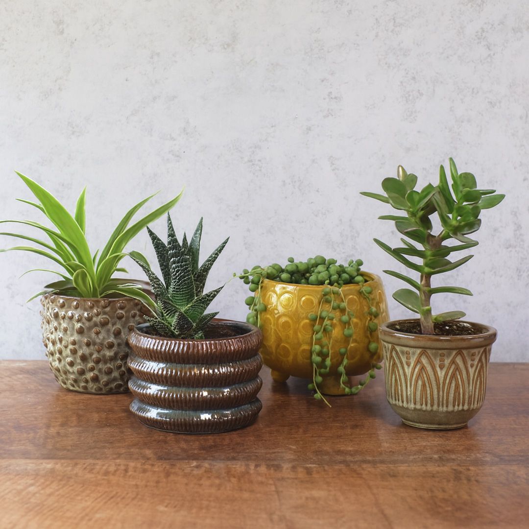 テラコッタの小さなプランターポット。かわいいサイズ感で多肉植物との
