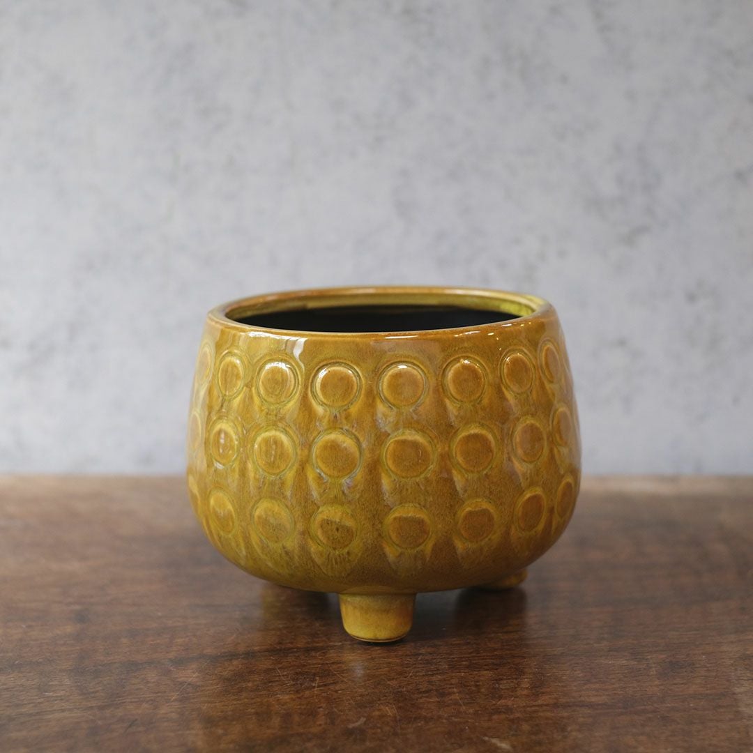 童話の鉢植えシリーズ 陶器のプランター 3つ足ポルカポット3