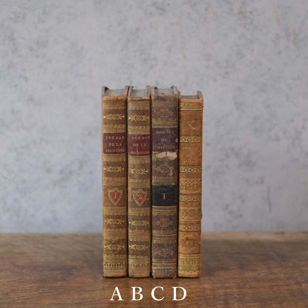 アンティークレザーブック 古書 本 19世紀 フランス 1