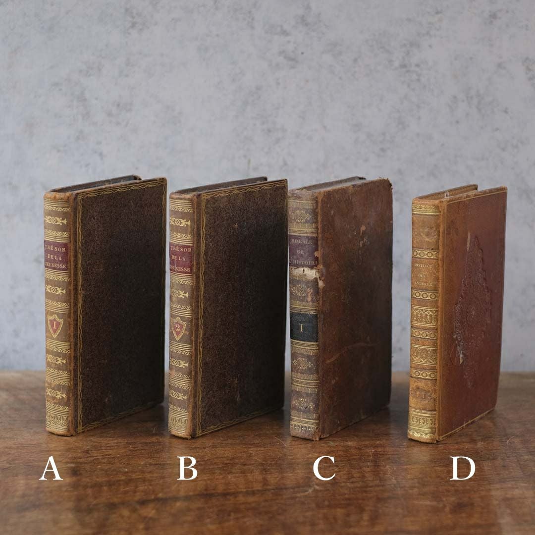 アンティークレザーブック 古書 本 19世紀 フランス 3