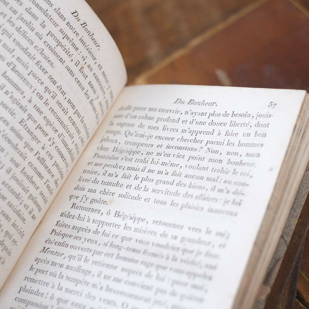 アンティークレザーブック 古書 本 19世紀 フランス 10