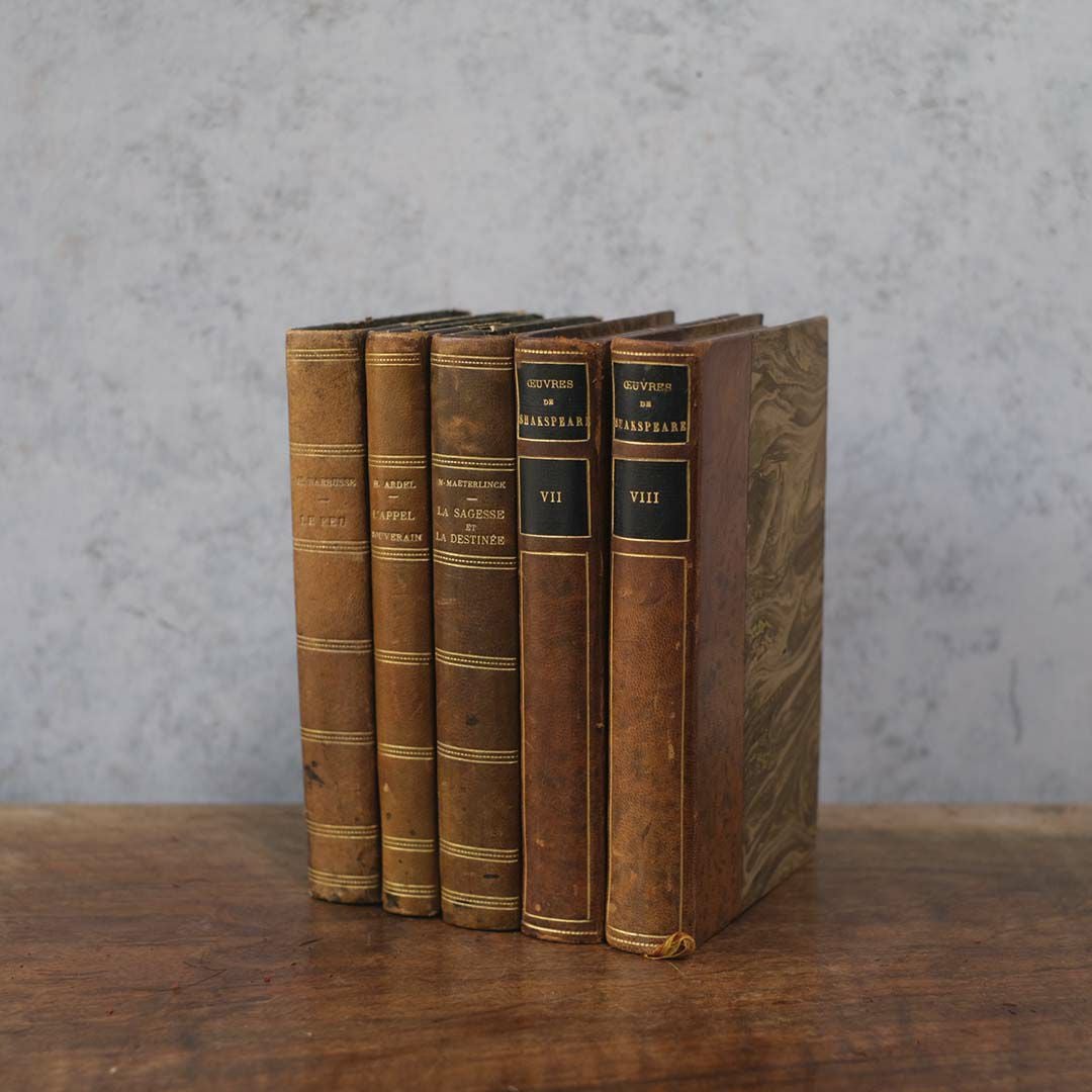  アンティークレザーブック 古書 フランス 革背表紙の本