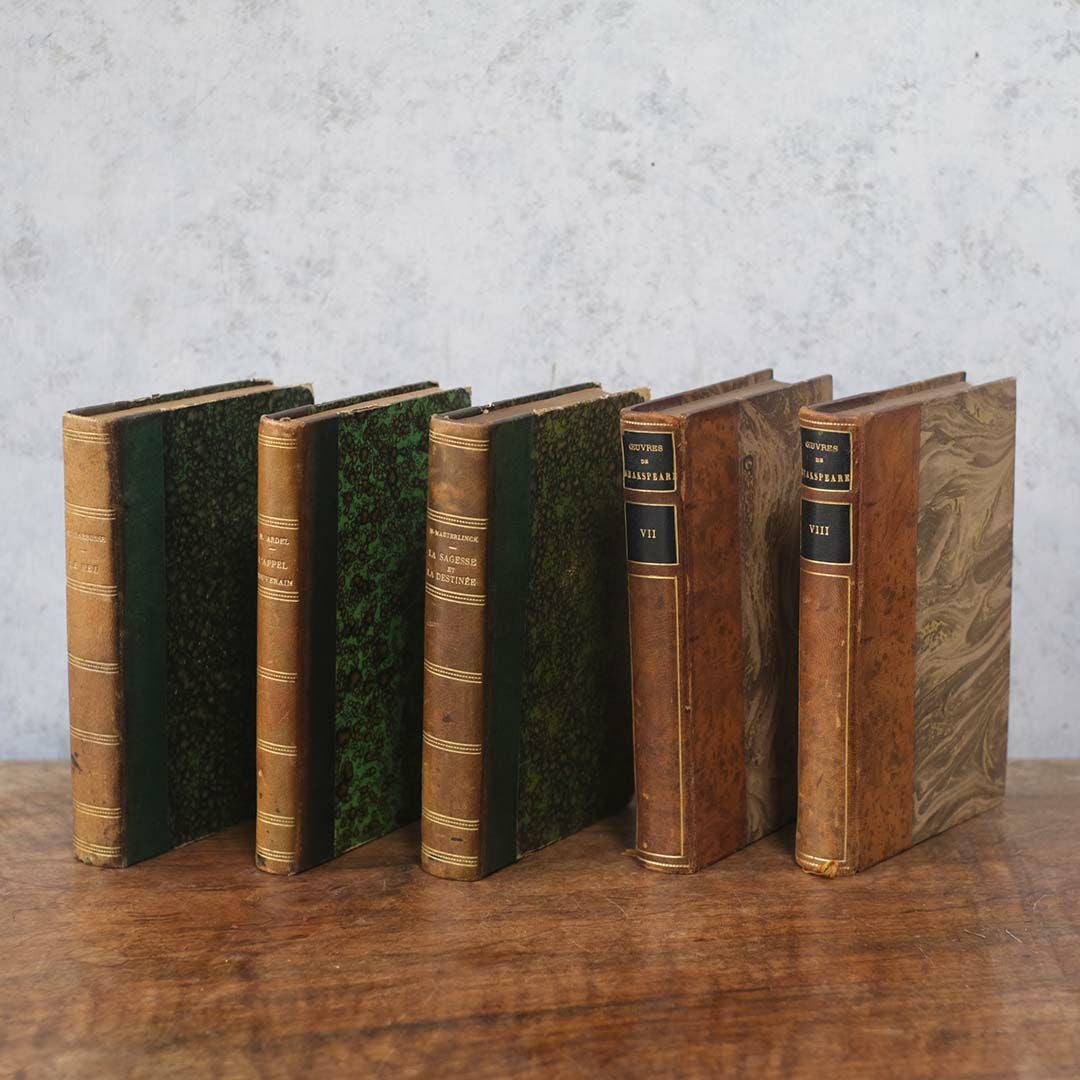  アンティークレザーブック 古書 フランス 革背表紙の本2