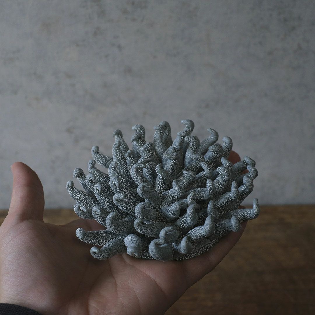 ファンタジー植物オブジェの壁掛け・卓上ディスプレイ