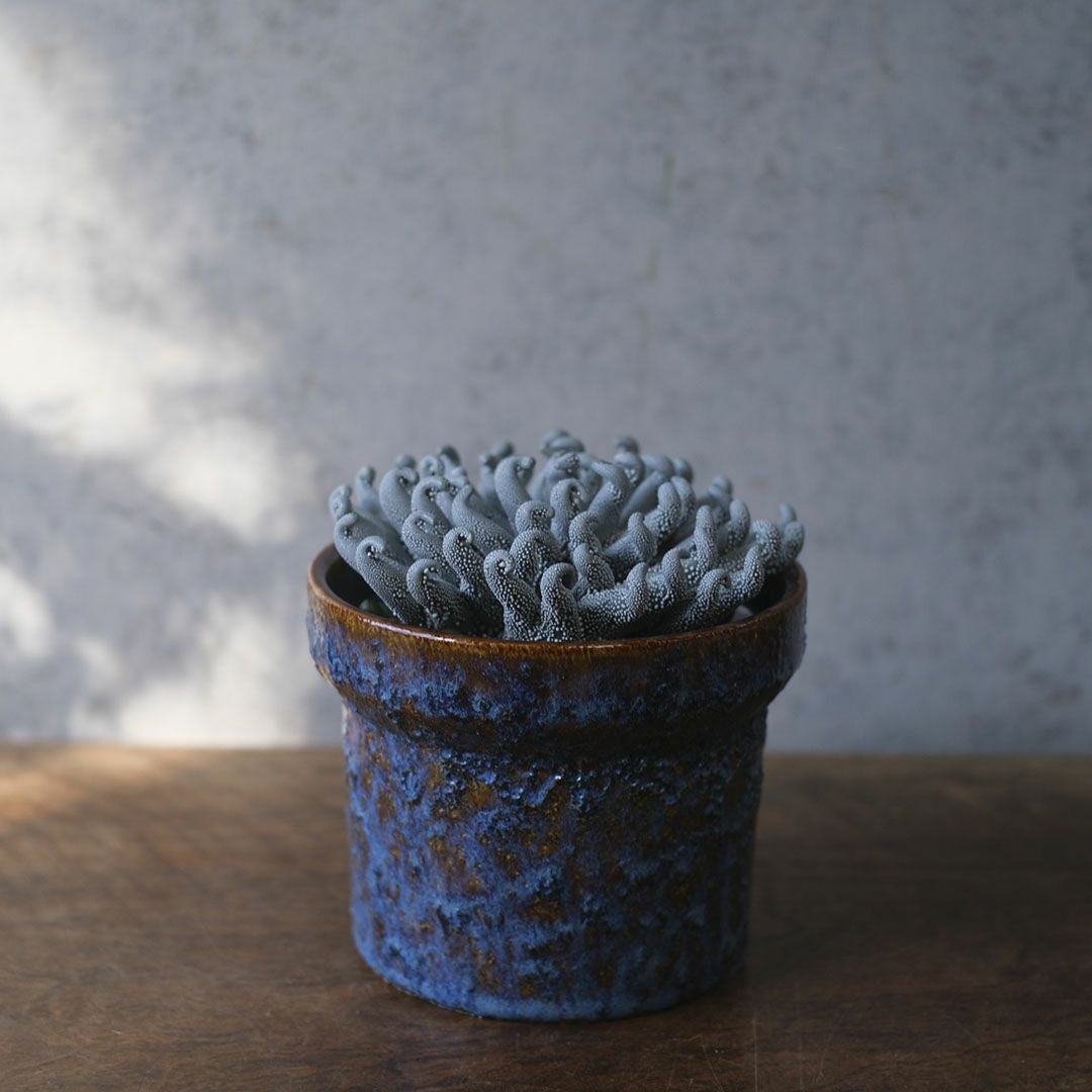 ファンタジー世界の花の置物 テクスチャー造形