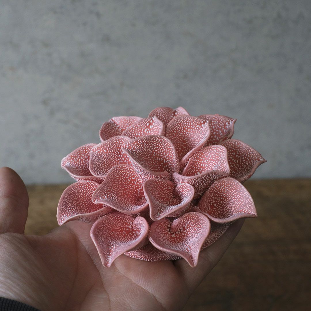 手のひらに乗せたABYSSALピンクの花のサイズ感と質感イメージ