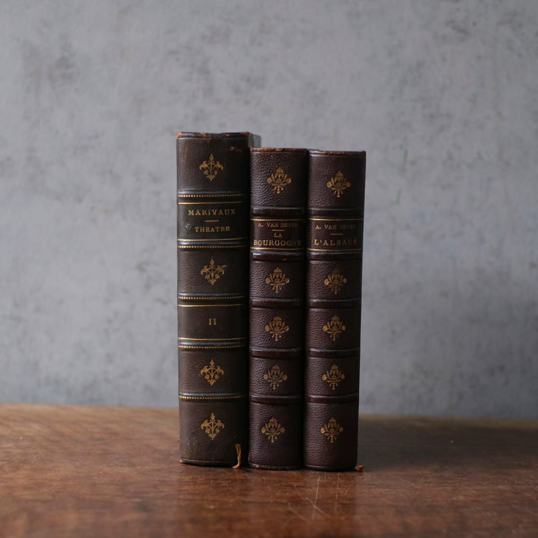 アンティークレザーブック 革張りの本1