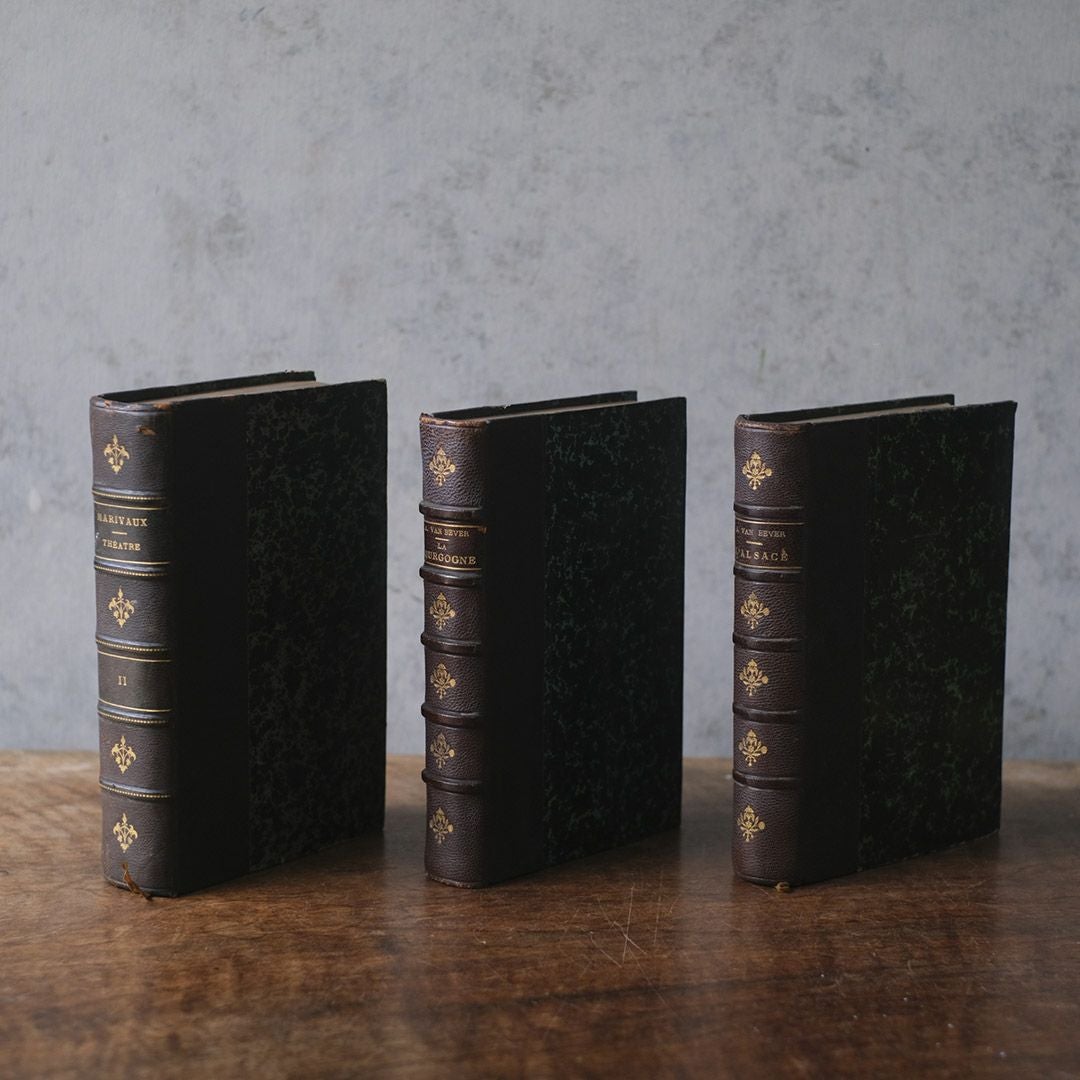 アンティークレザーブック 革張りの本6