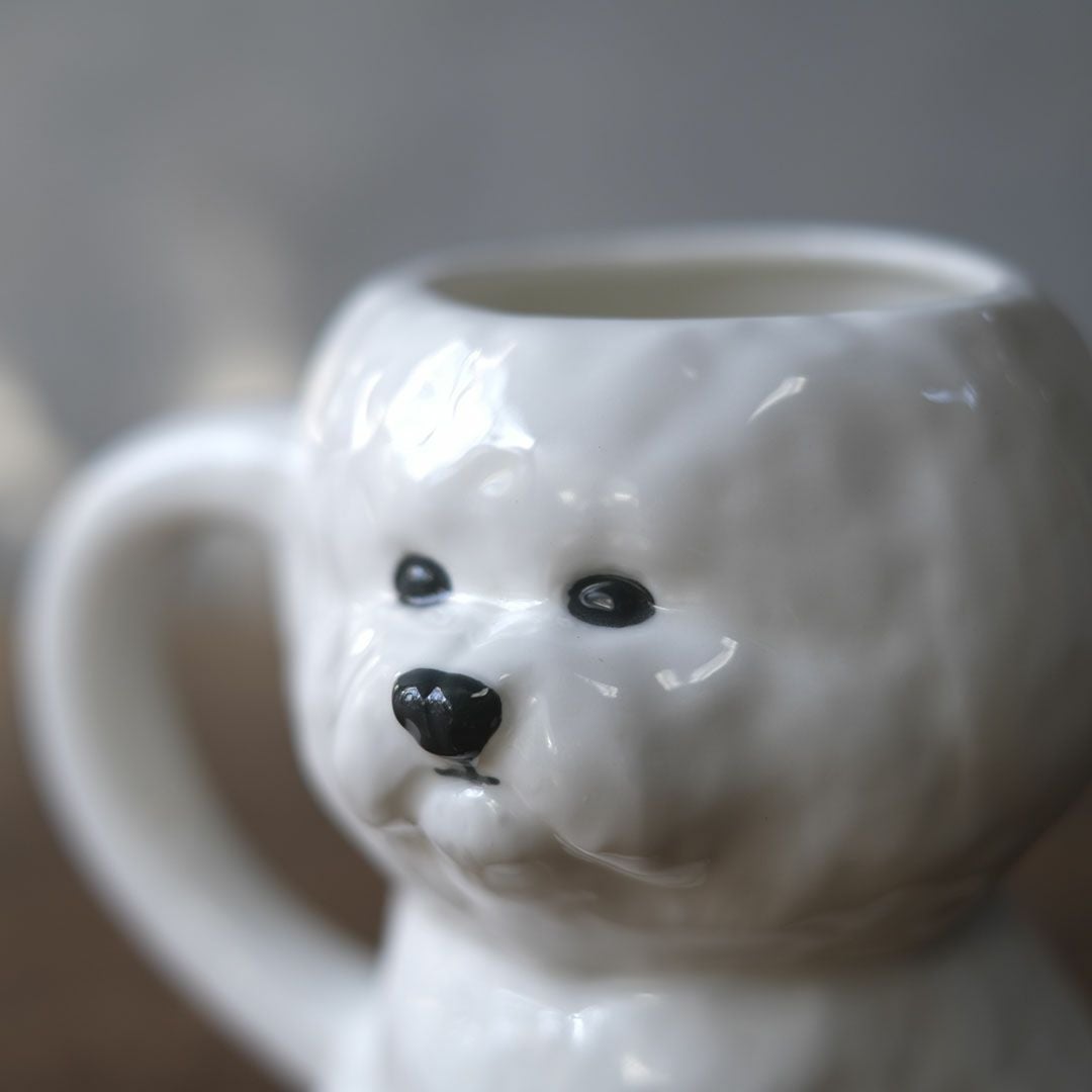 ビションフリーゼのまなざし