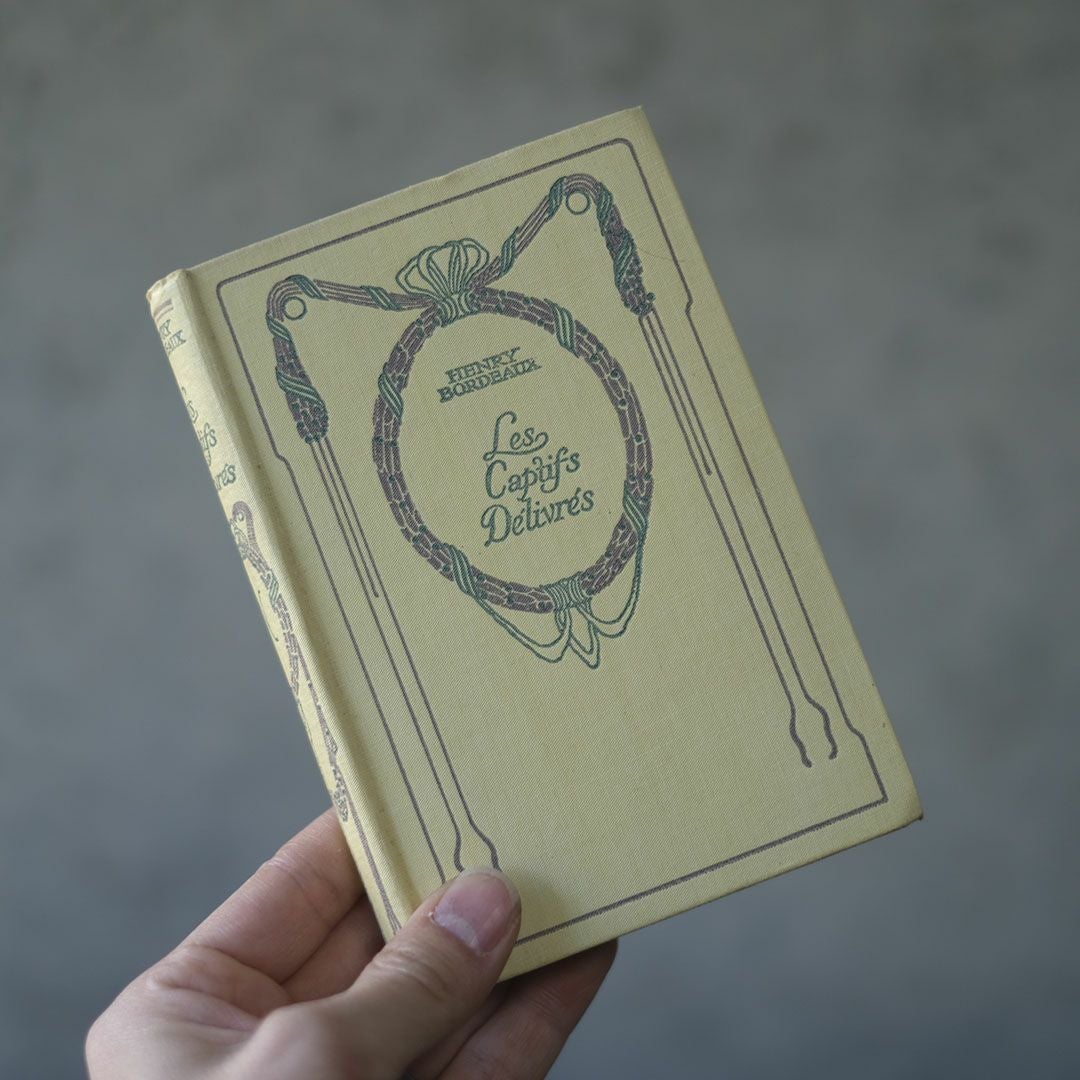 アンティークブック フランス 本 ネルソン nelson 3