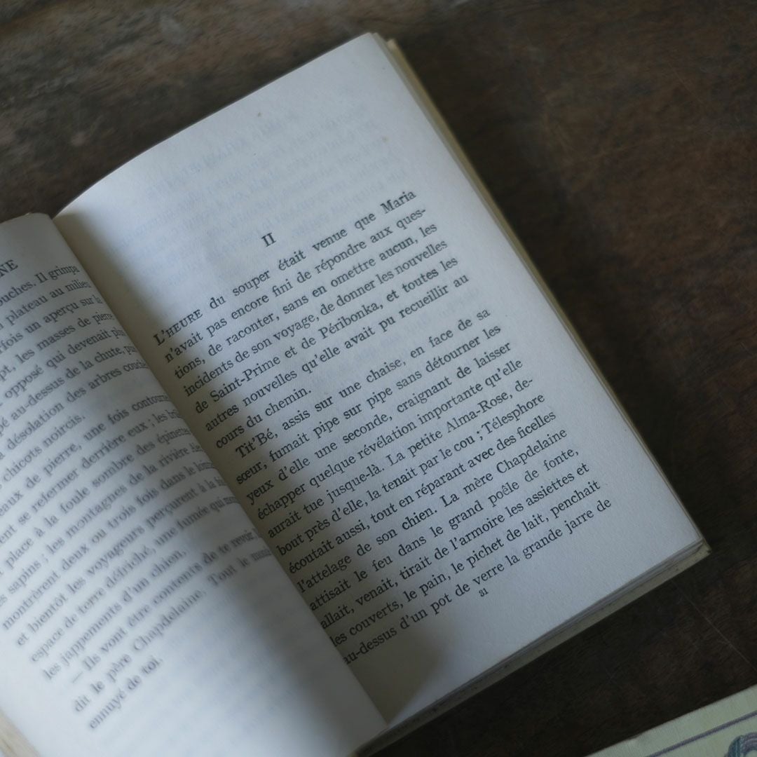 アンティークブック フランス 本 ネルソン nelson 4