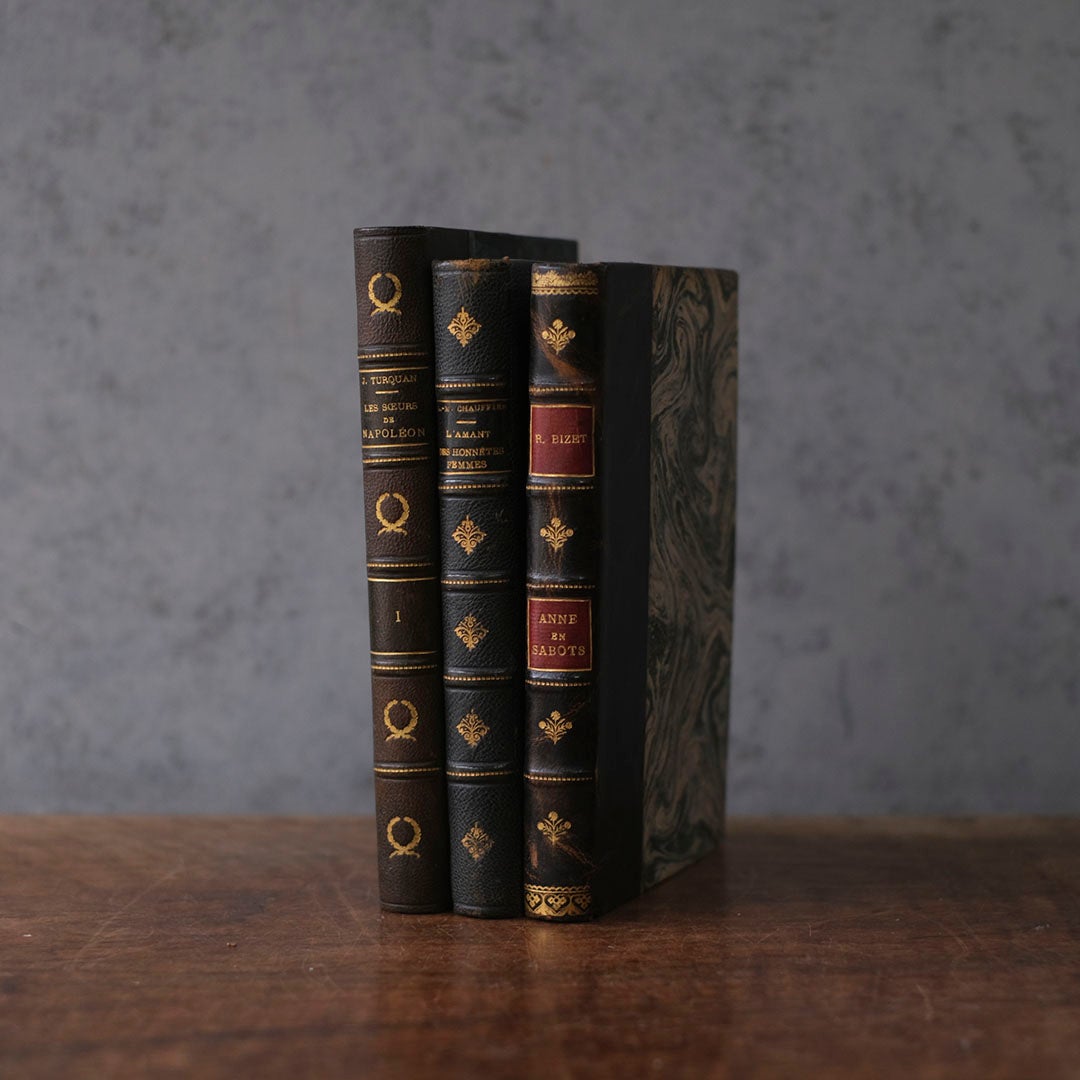 アンティークレザーブック 古書 フランス 革背表紙の本