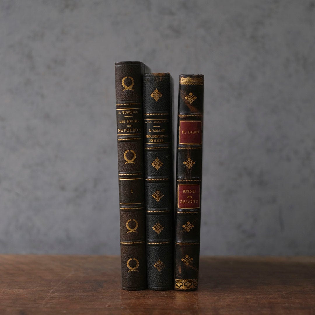 アンティークレザーブック 古書 フランス 革背表紙の本1