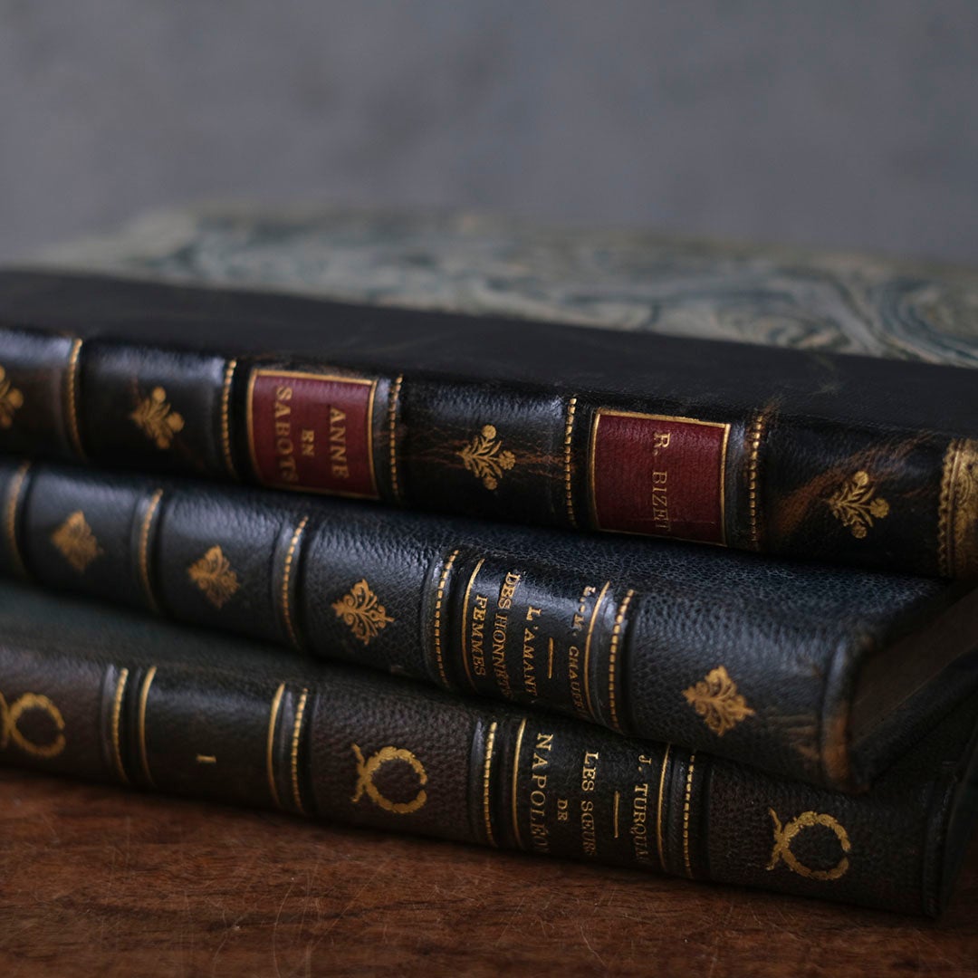 アンティークレザーブック 古書 フランス 革背表紙の本4