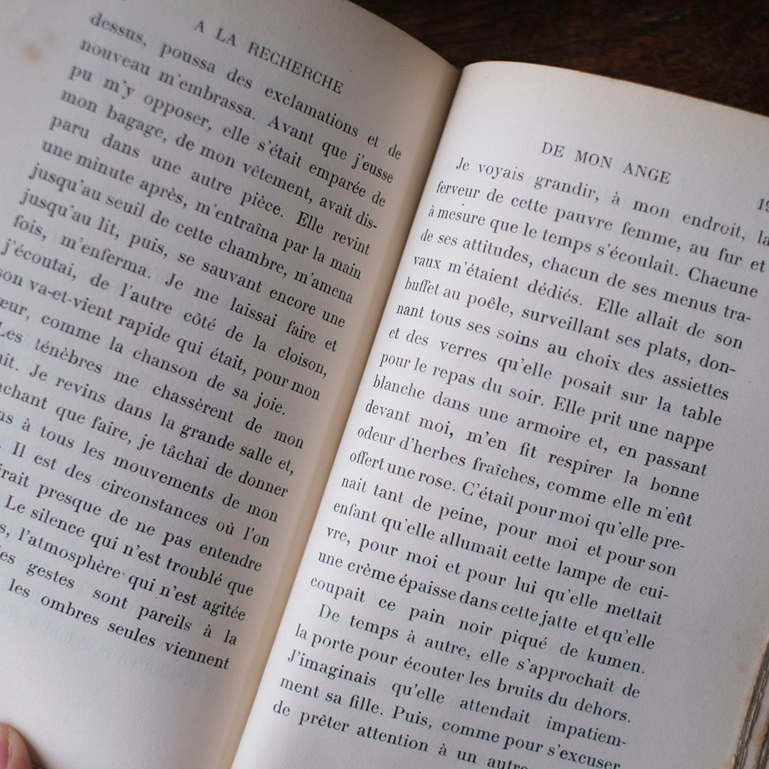 アンティークレザーブック 古書 フランス 革背表紙の本7