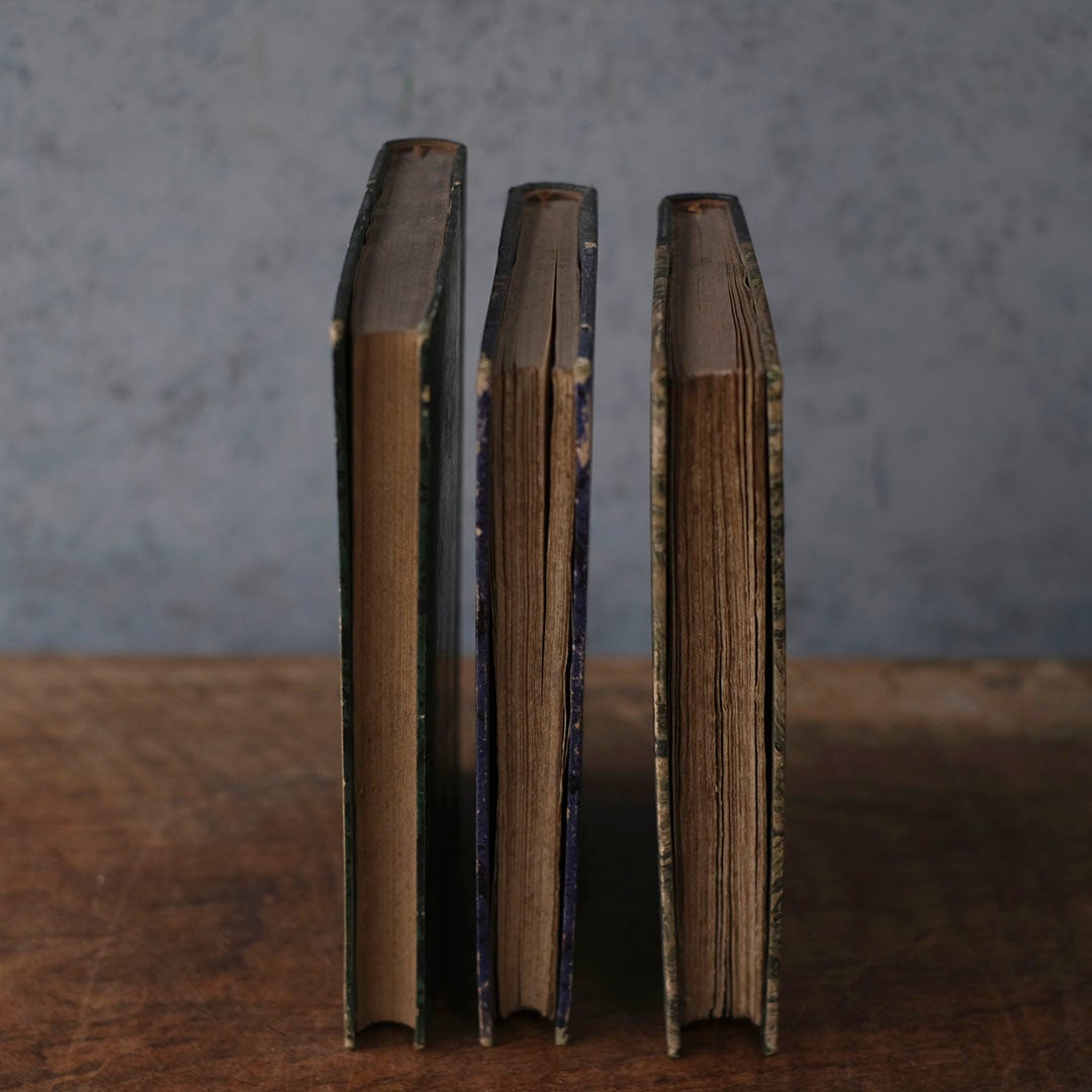 アンティークレザーブック 古書 フランス 革背表紙の本8