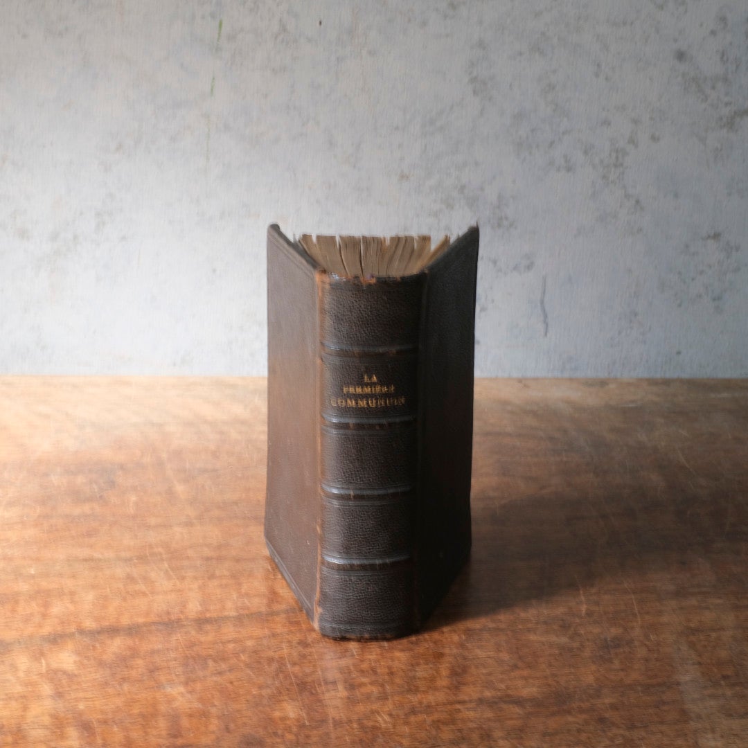 アンティーク祈祷書 OFFICES COMPLETS フランス語1874年 フランスの祈祷書 | アンティーク ベルベット Velvet